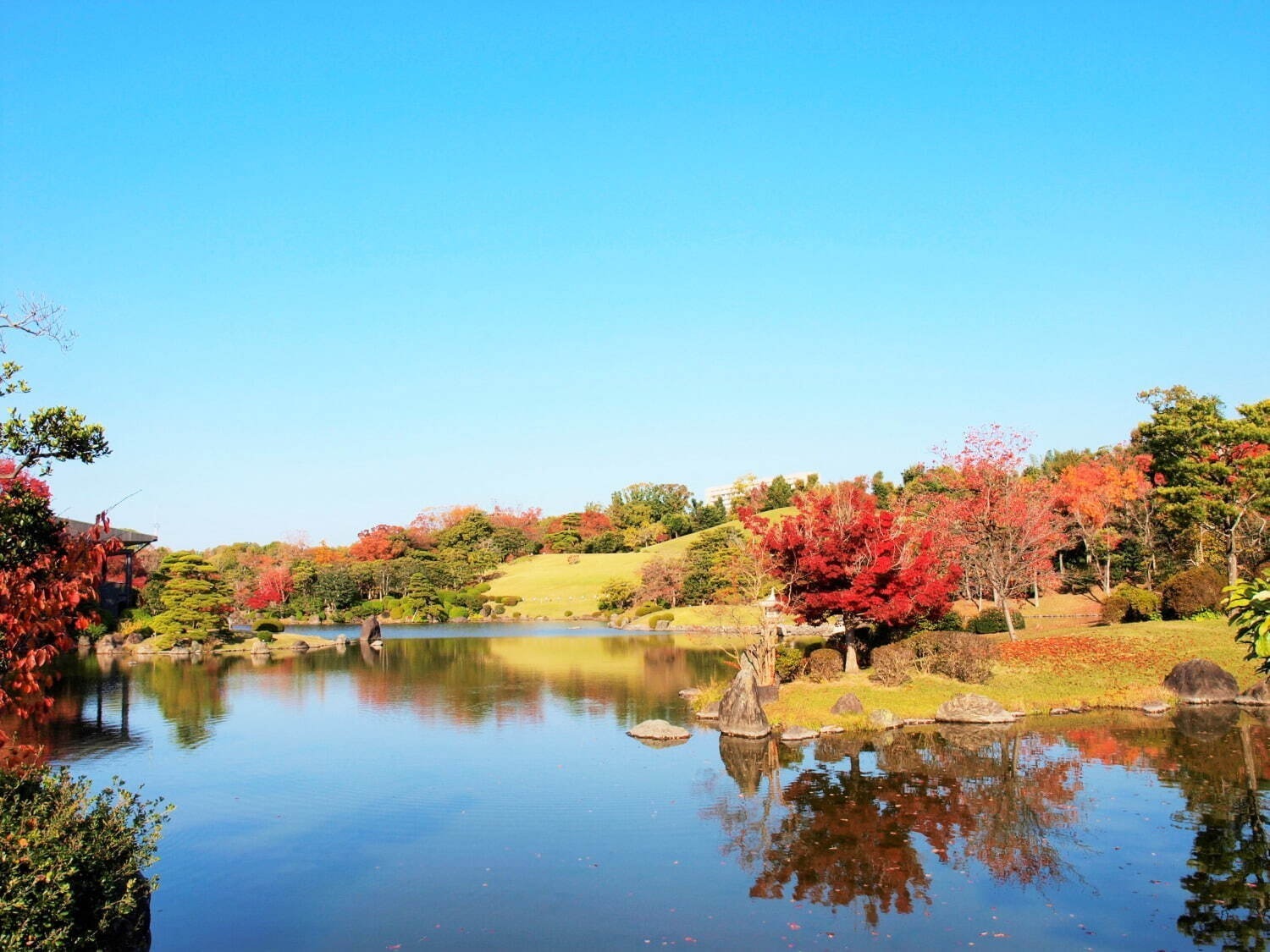 全国の秋イベント2023、東京＆大阪の紅葉スポット・グルメフェス・展覧会などお出かけ情報を網羅｜写真22