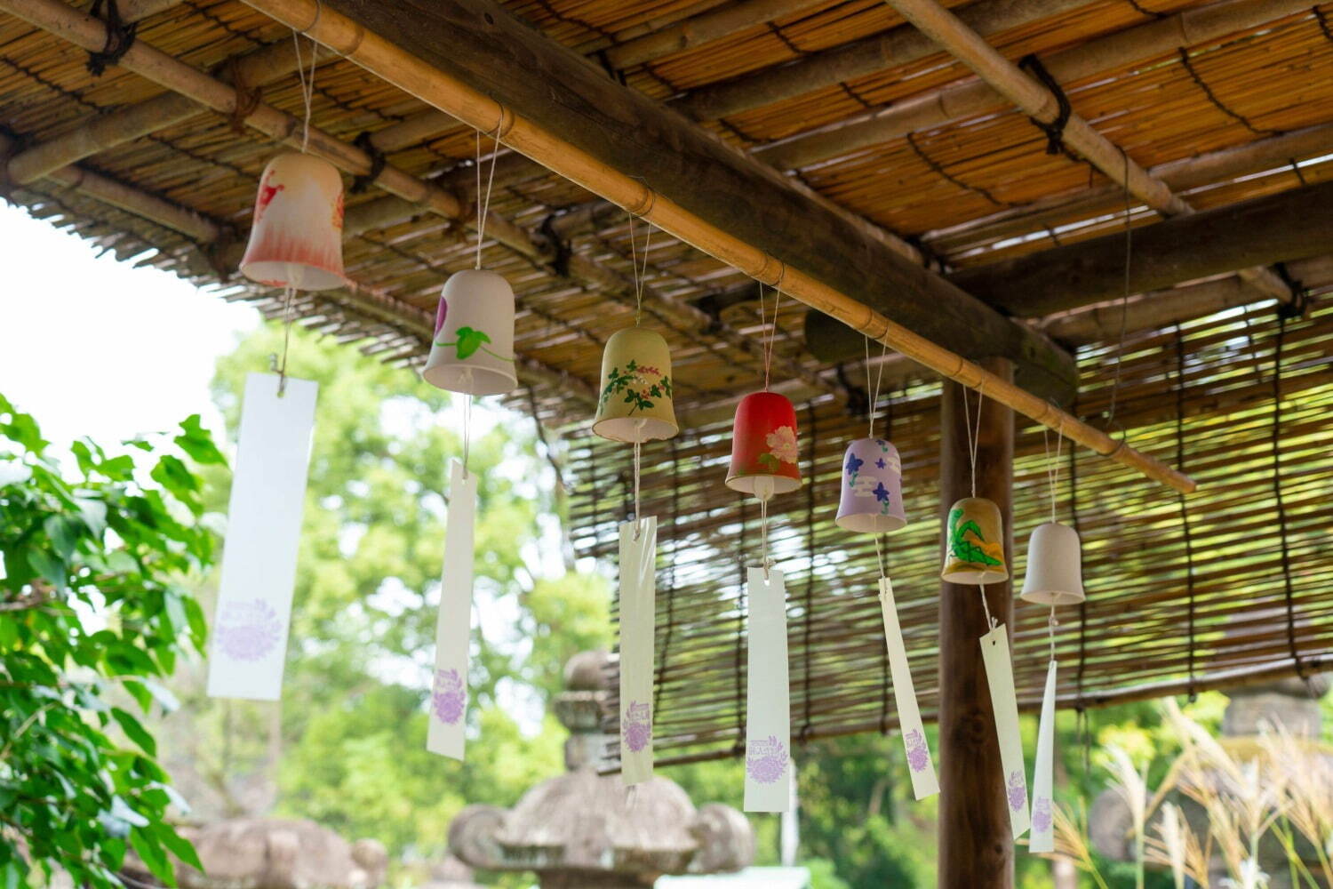 上野東照宮“ダリア”を観賞する秋の特別祭典、100種200株以上の花々が見頃に｜写真6