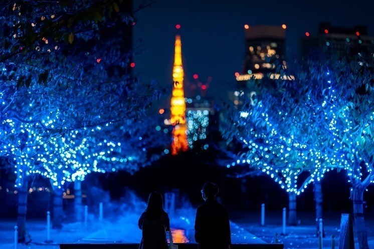 東京都内＆関東の「イルミネーションイベント」2023-24年冬・年末年始の人気お出かけスポット｜写真41