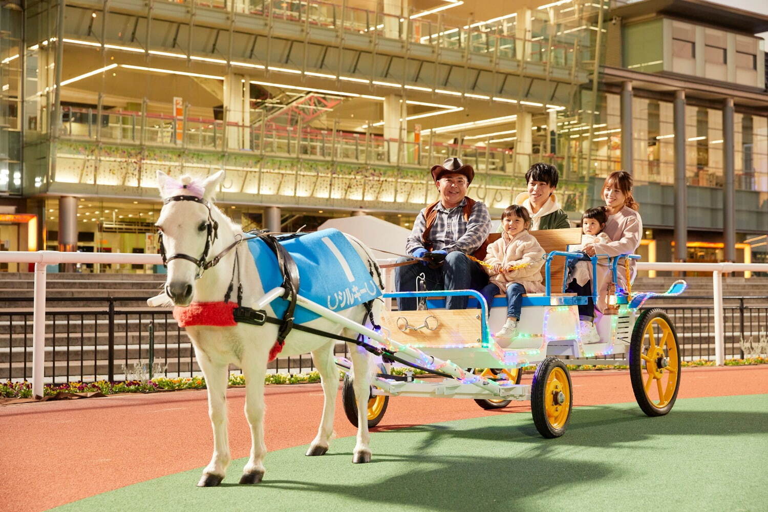 大井競馬場の冬季イルミネーション「東京メガイルミ」噴水ショーや幻想的なオーロラ演出、光のトンネルも｜写真8