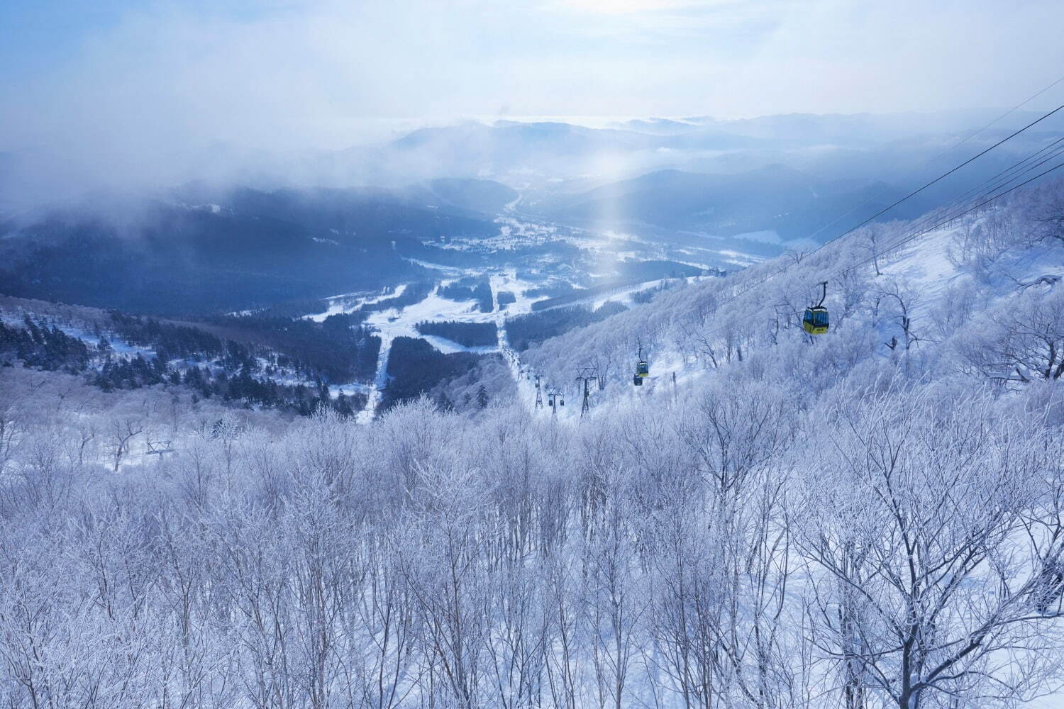 星野リゾート リゾナーレトマム「霧氷クリスマス」“まるでリース”な巨大ハンモックから楽しむ雪山の絶景｜写真10