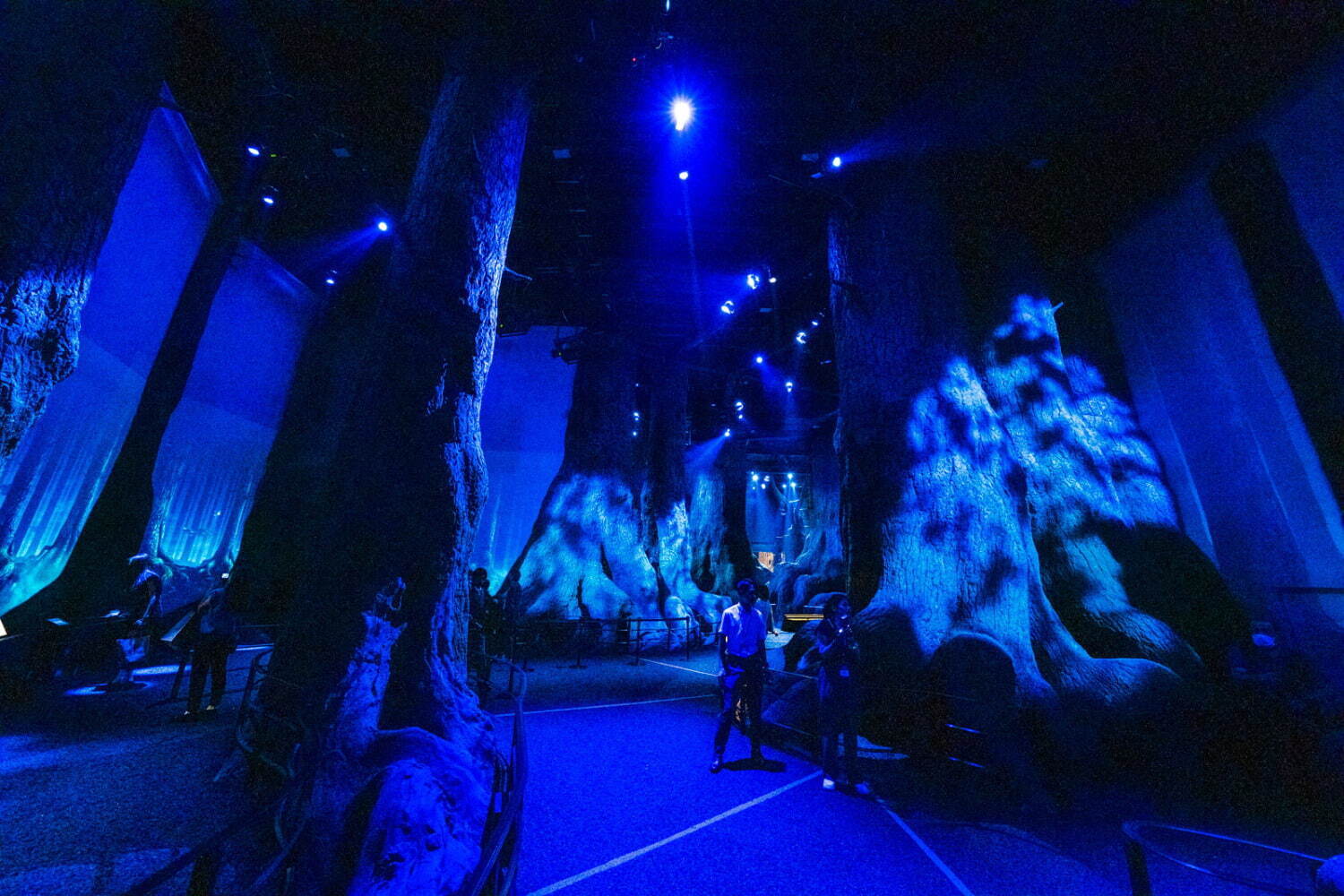 魔法動物でいっぱい「禁じられた森」セット徹底解説、ハリー・ポッターの体験型施設「スタジオツアー東京」｜写真8
