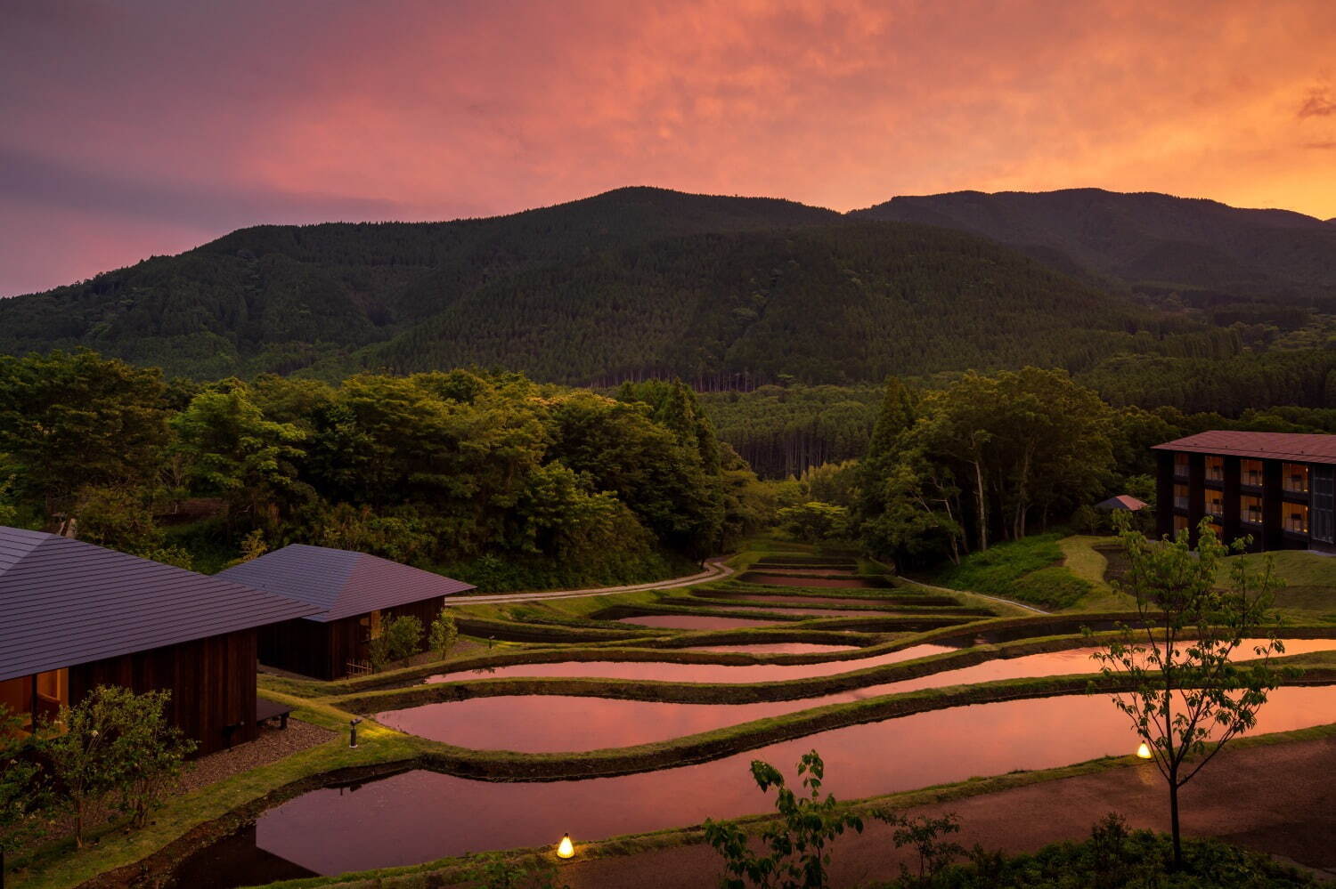 星野リゾートの温泉旅館「界 由布院」棚田テラスのライトアップ、大分の焼酎を楽しむプランも｜写真5