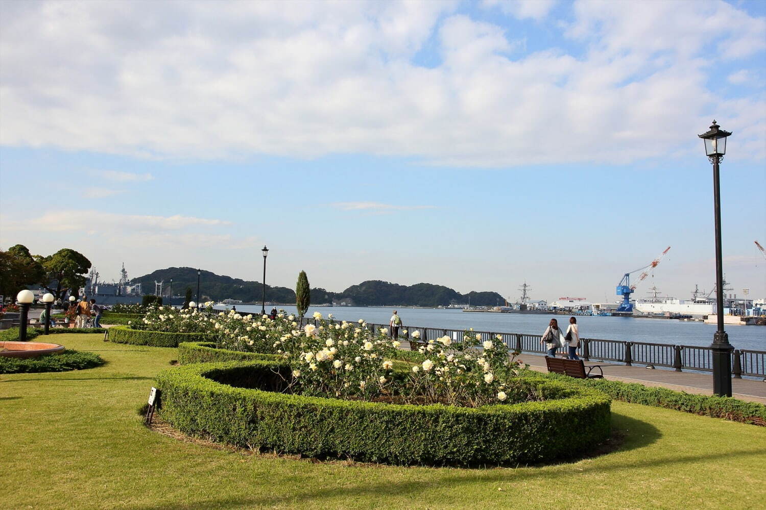 横須賀市ヴェルニー公園「秋のローズフェスタ」色も香りも濃い約130種類の秋バラが見ごろに｜写真15