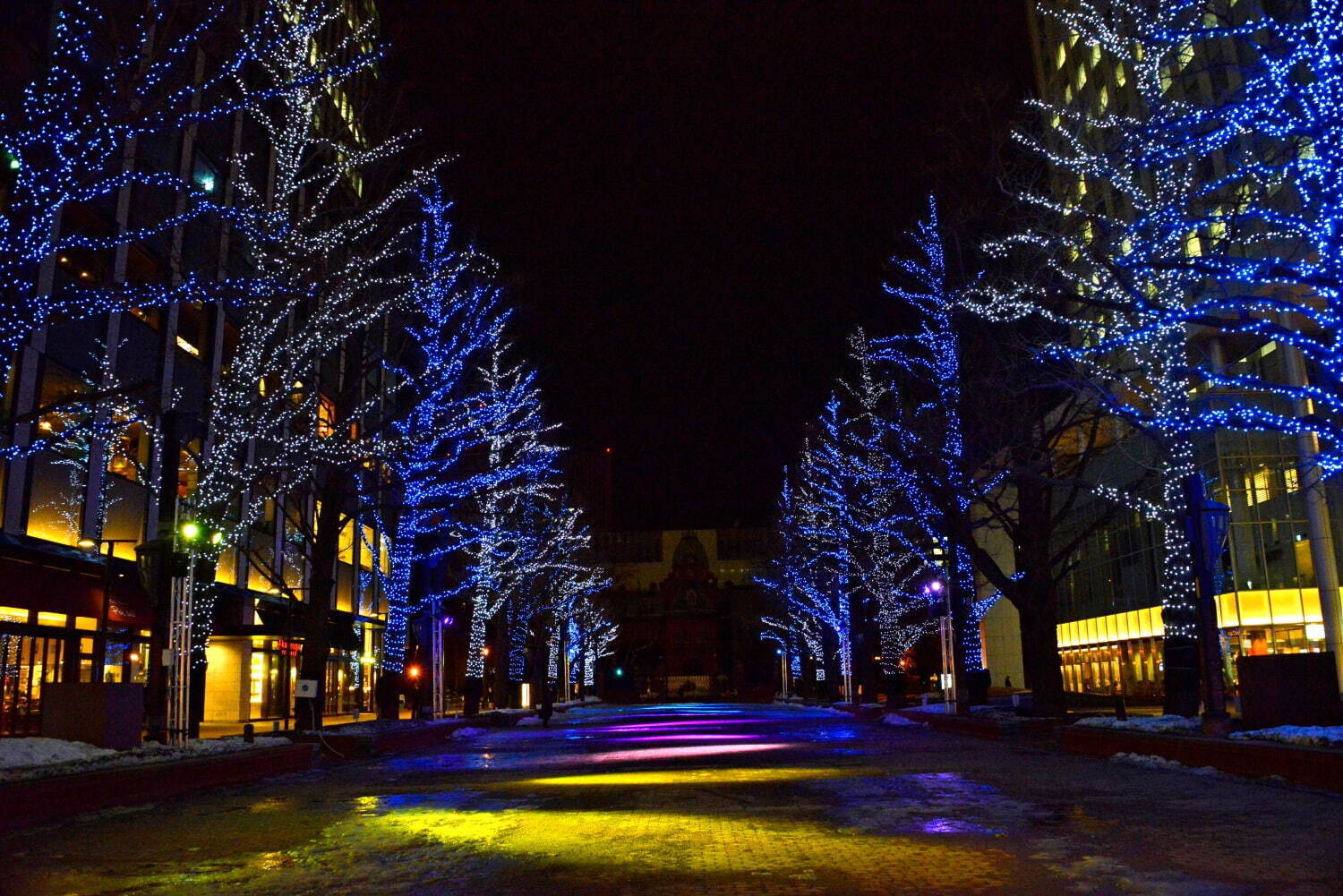 「2023 さっぽろホワイトイルミネーション」北海道・札幌の街を彩る冬の光、クリスマス市も｜写真7