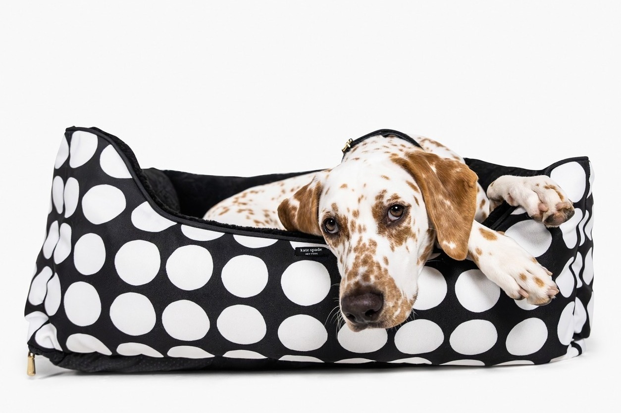 オリジナル 新着ケイトスペード ペット ベッド大型 犬用品