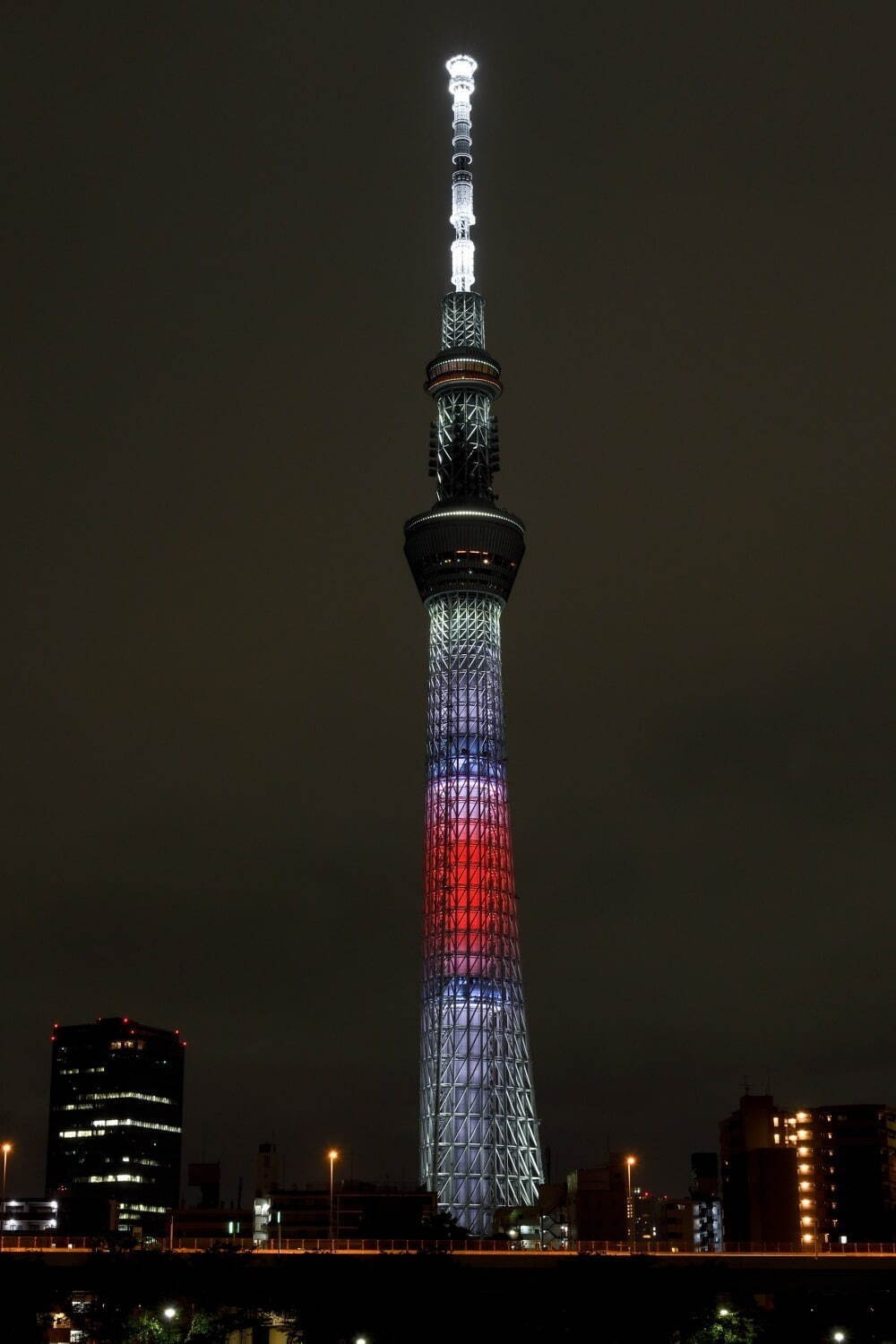 東京都内・関東の冬イベント、イルミネーションやクリスマスマーケットなど注目お出かけ＆デートスポット｜写真25