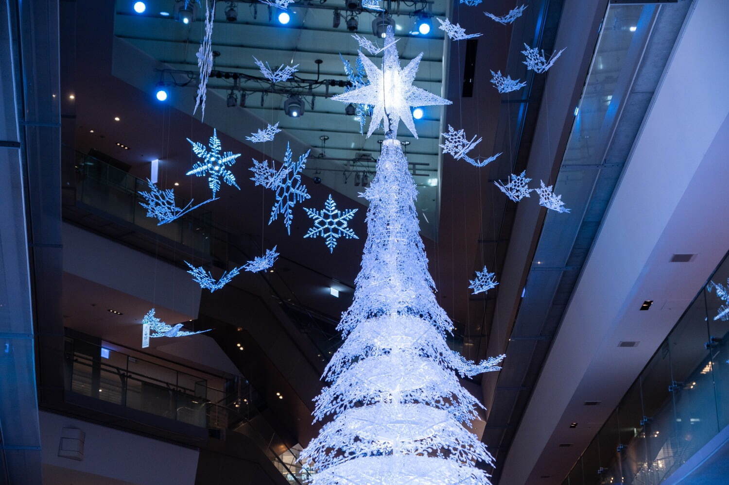 表参道ヒルズ23年クリスマスイルミネーション、“雪の結晶”約500個が透明の光を放つツリー｜写真3