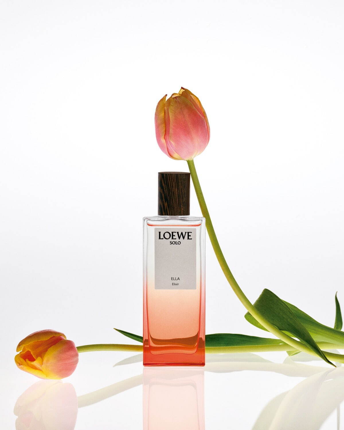 ロエベ パルファム(LOEWE Perfumes) ロエベ エリクシール｜写真5