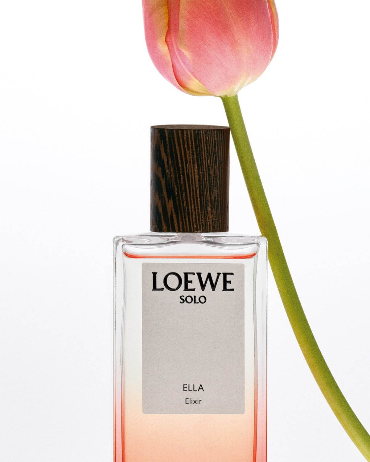 ロエベ パルファム(LOEWE Perfumes) ロエベ エリクシール｜写真6