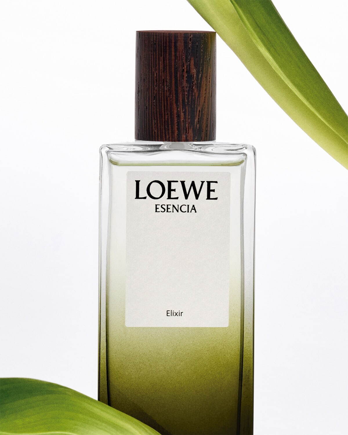 ロエベ パルファム(LOEWE Perfumes) ロエベ エリクシール｜写真9