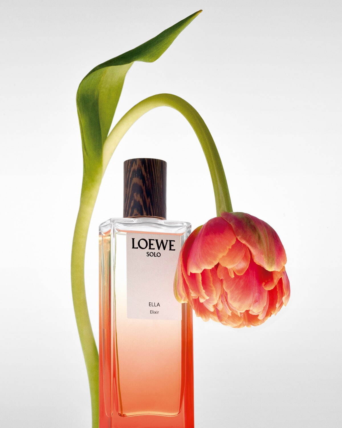 ロエベ パルファム(LOEWE Perfumes) ロエベ エリクシール｜写真2