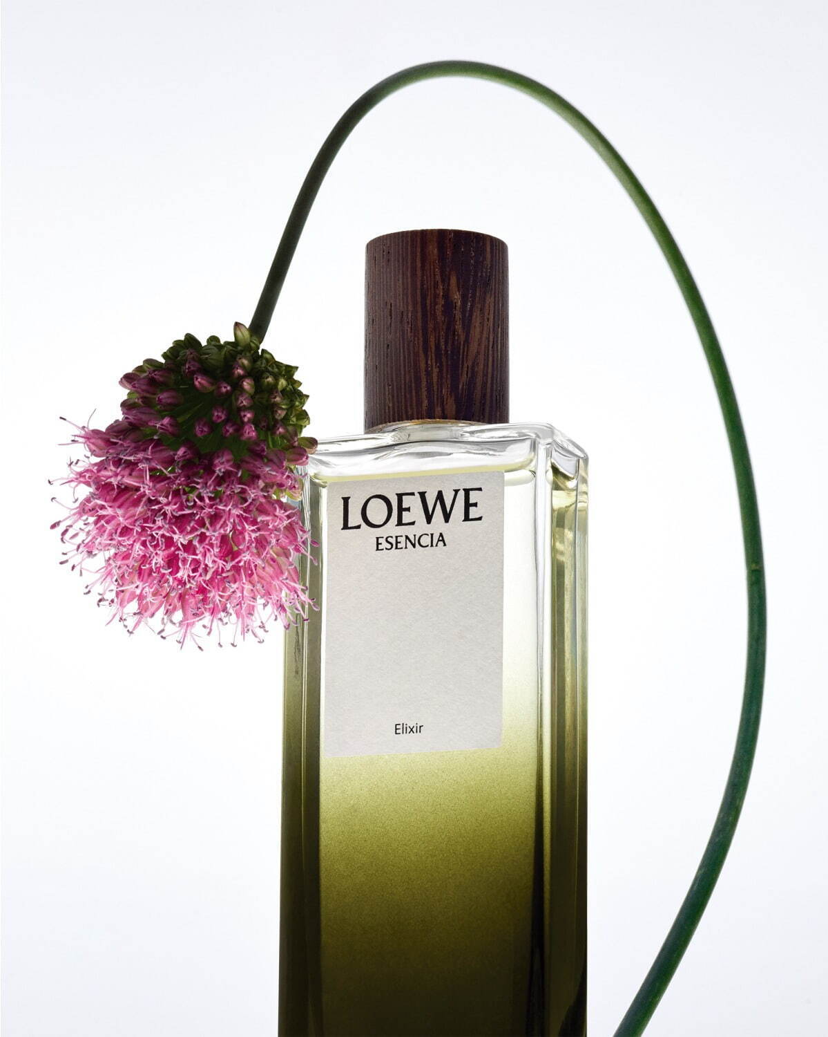 ロエベ パルファム(LOEWE Perfumes) ロエベ エリクシール｜写真7