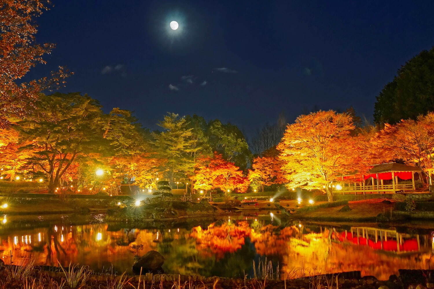 静岡・修善寺虹の郷の紅葉イベント「もみじライトアップ」約2,000本が見頃に、花火やランタンも｜写真3