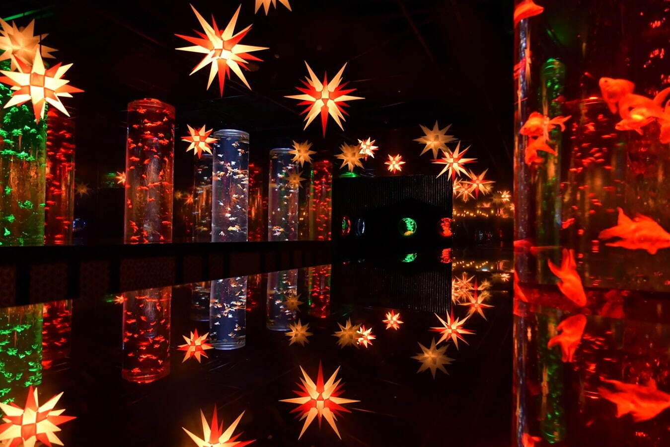 アートアクアリウム美術館 GINZA」クリスマスイルミネーション、雪の 