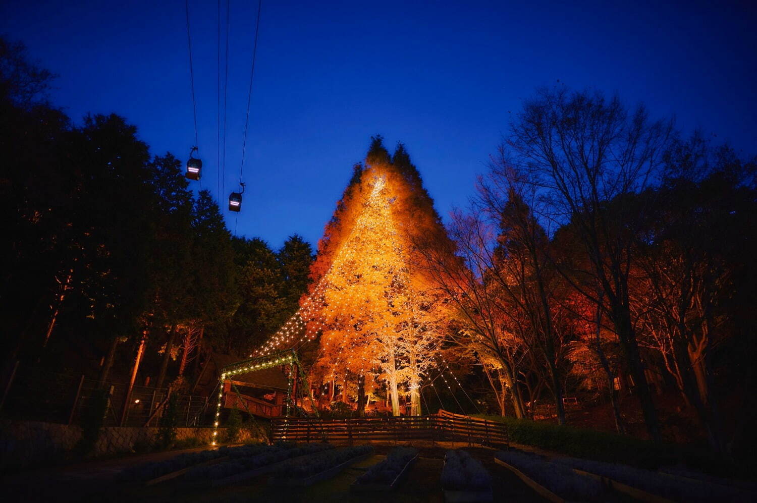 神戸布引ハーブ園で「古城のクリスマス2023」花々に囲まれるタワーやリース、クリスマスマーケットも｜写真13