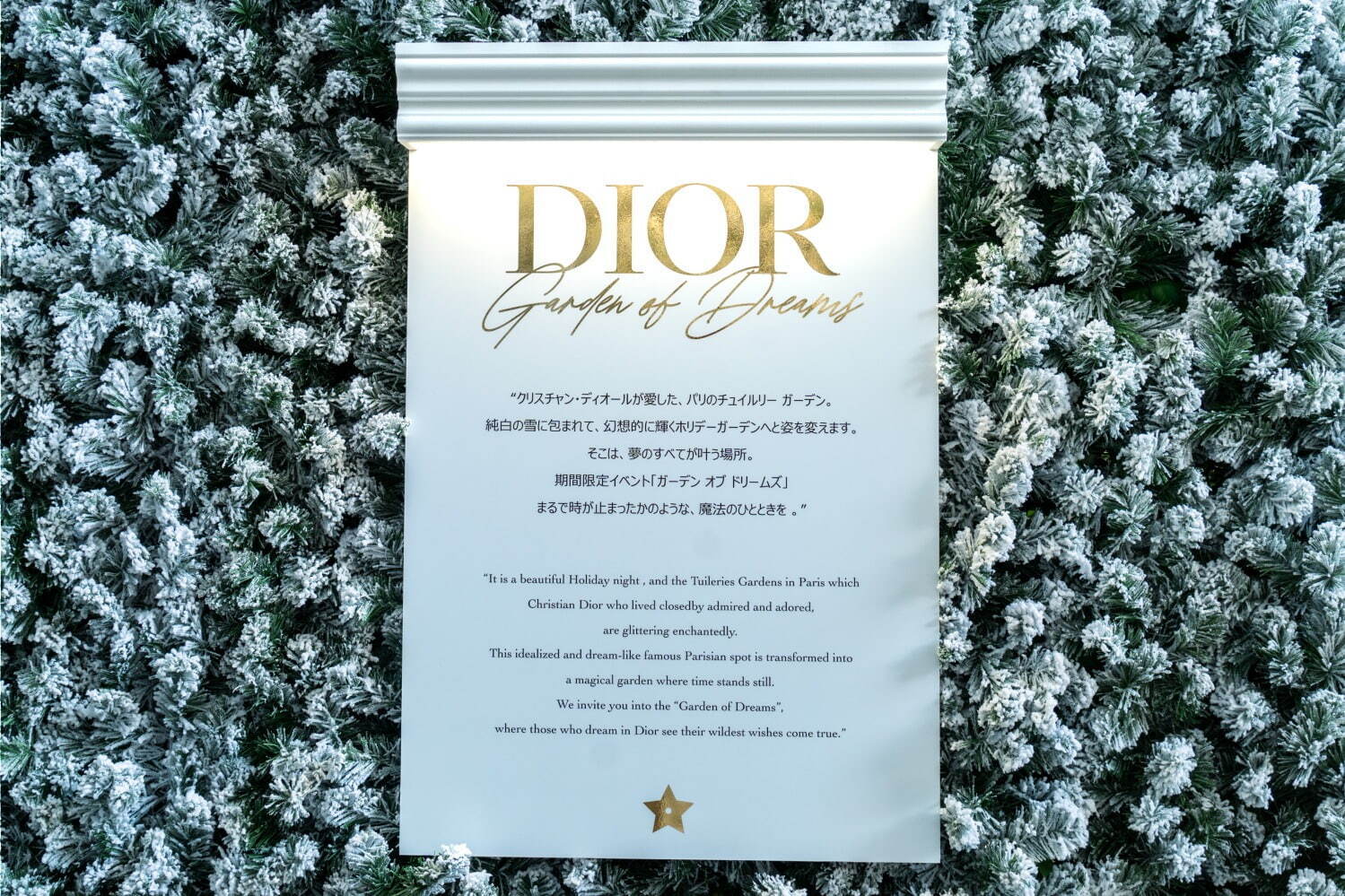 ディオール(DIOR) ガーデン オブ ドリームズ｜写真5