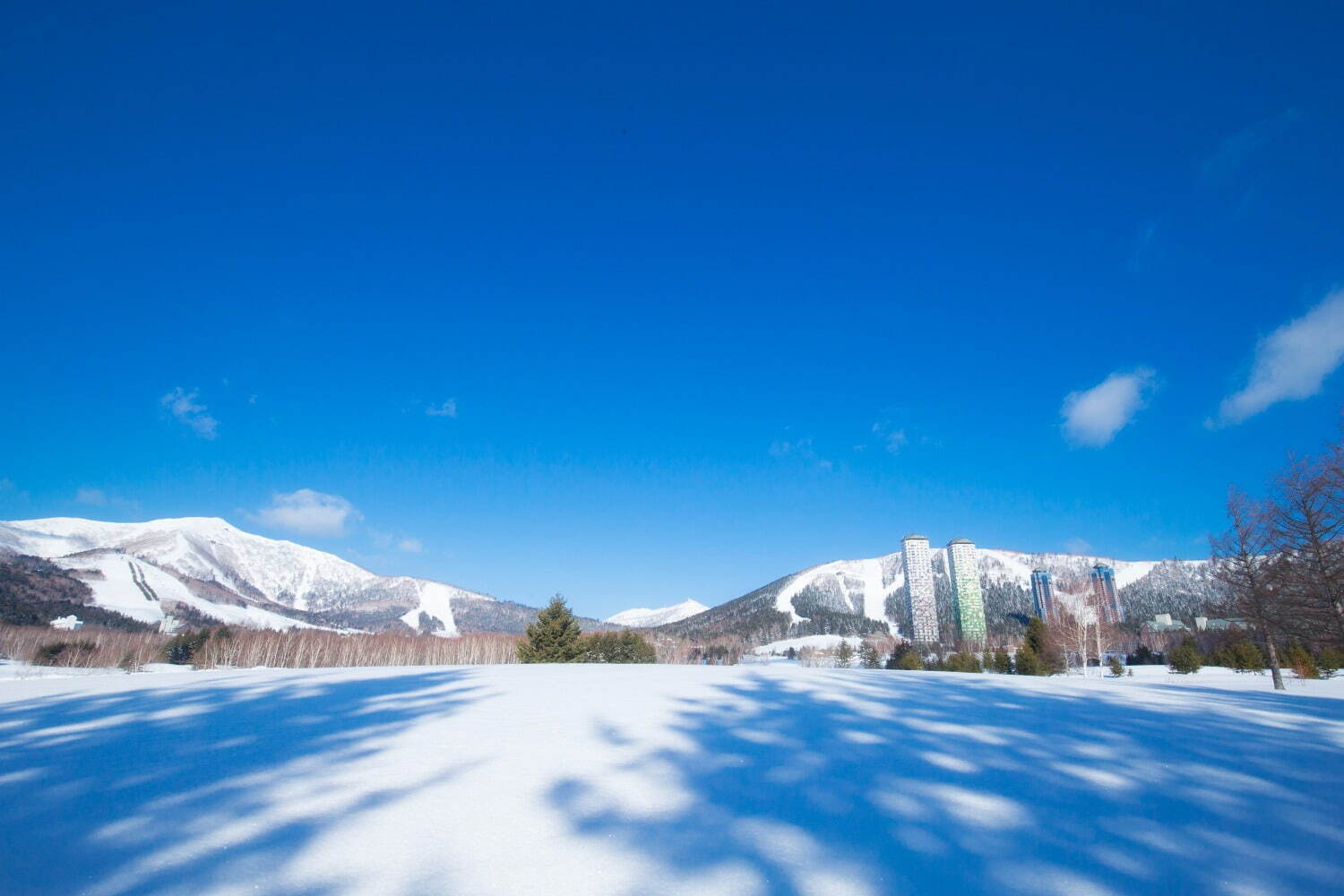 北海道・星野リゾート トマムの「絶景シャンパンテラス」絶景の雪山×シャンパン20種を堪能｜写真10