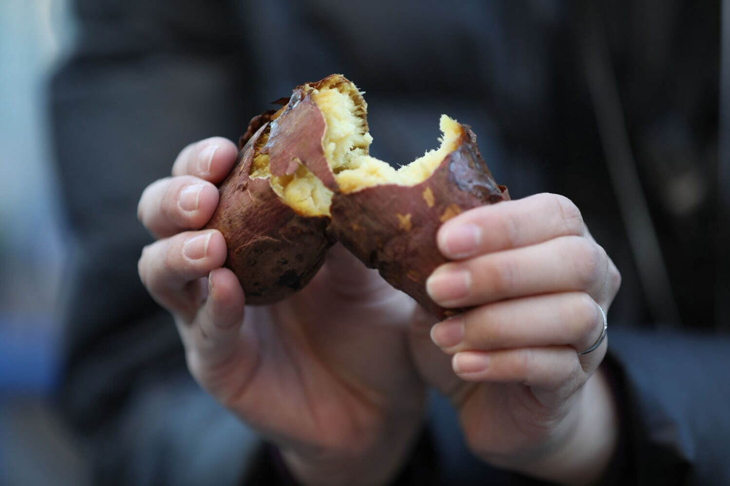 日本最大級サツマイモの祭典「さつまいも博2024」さいたまスーパーアリーナで、焼き芋＆芋スイーツ集結｜写真5