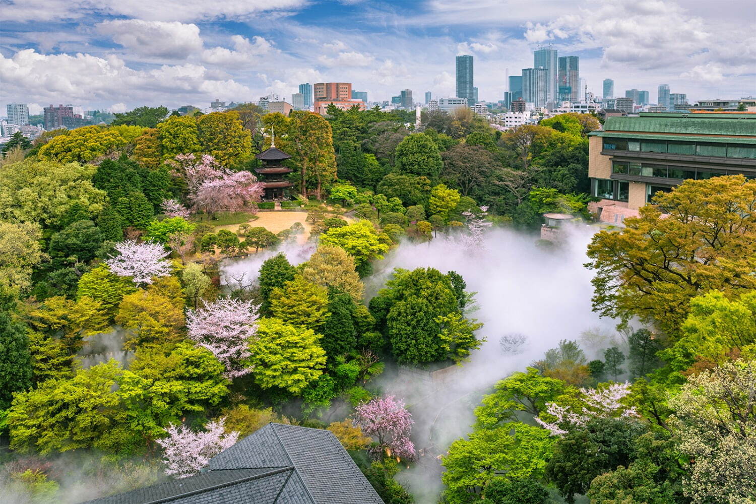 ロクシタン(L'OCCITANE) 桜ステイプラン｜写真6