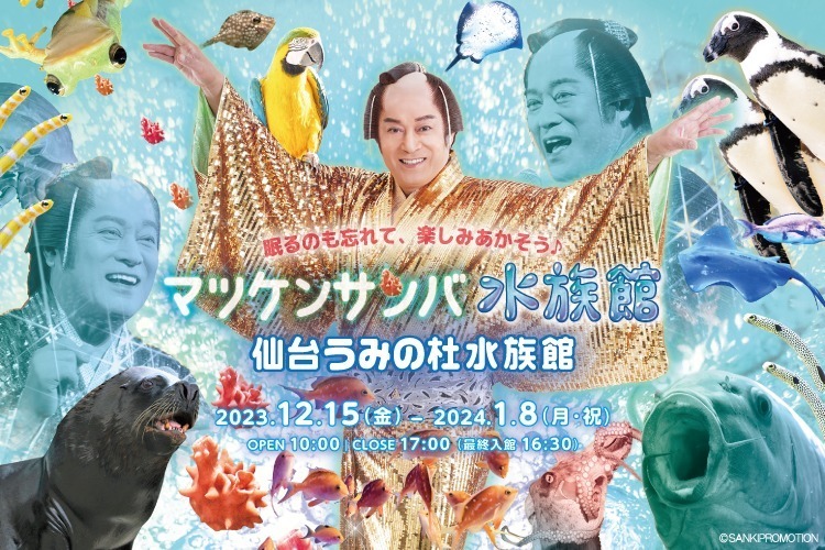 「マツケンサンバⅡ」にあわせてイルカパフォーマンス＆イワシの群れが泳ぐ！仙台うみの杜水族館コラボ企画｜写真1