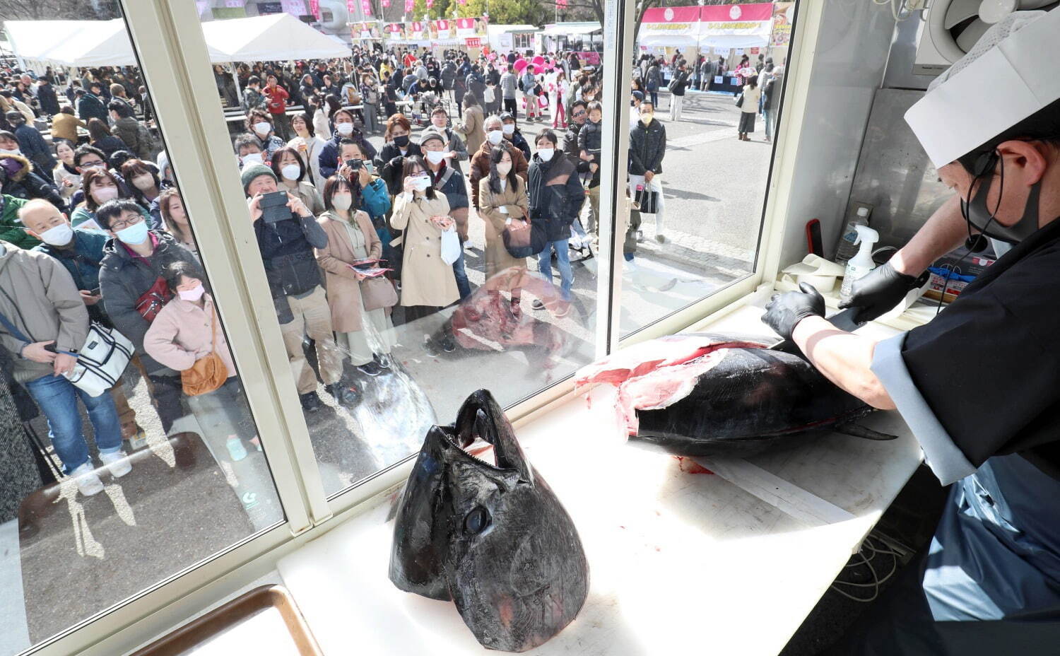 日本最大級の魚介グルメイベント「魚ジャパンフェス」代々木公園で、贅沢な海鮮丼や全国の“漁師飯”集結｜写真7