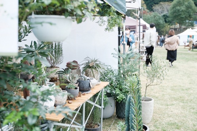 クリーマ ヤマビコフェス 2024 長井海の手公園 ソレイユの丘｜写真5