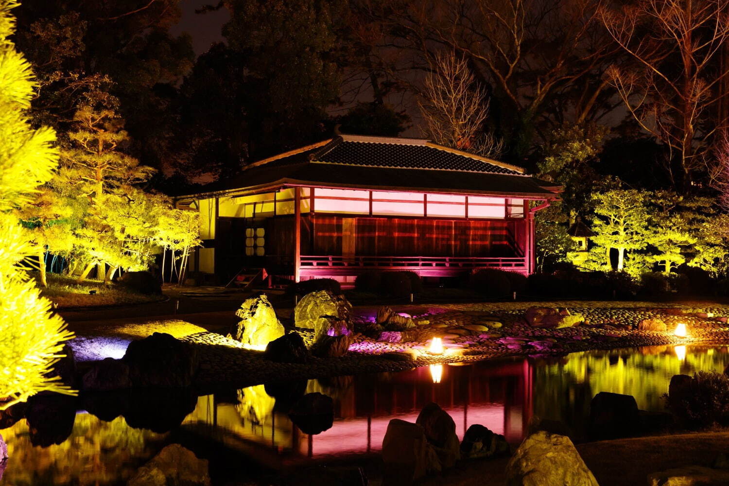 京都・二条城で“アートなお花見”「ネイキッド桜まつり」夜桜ライトアップやデジタルアート、桜スイーツも｜写真5