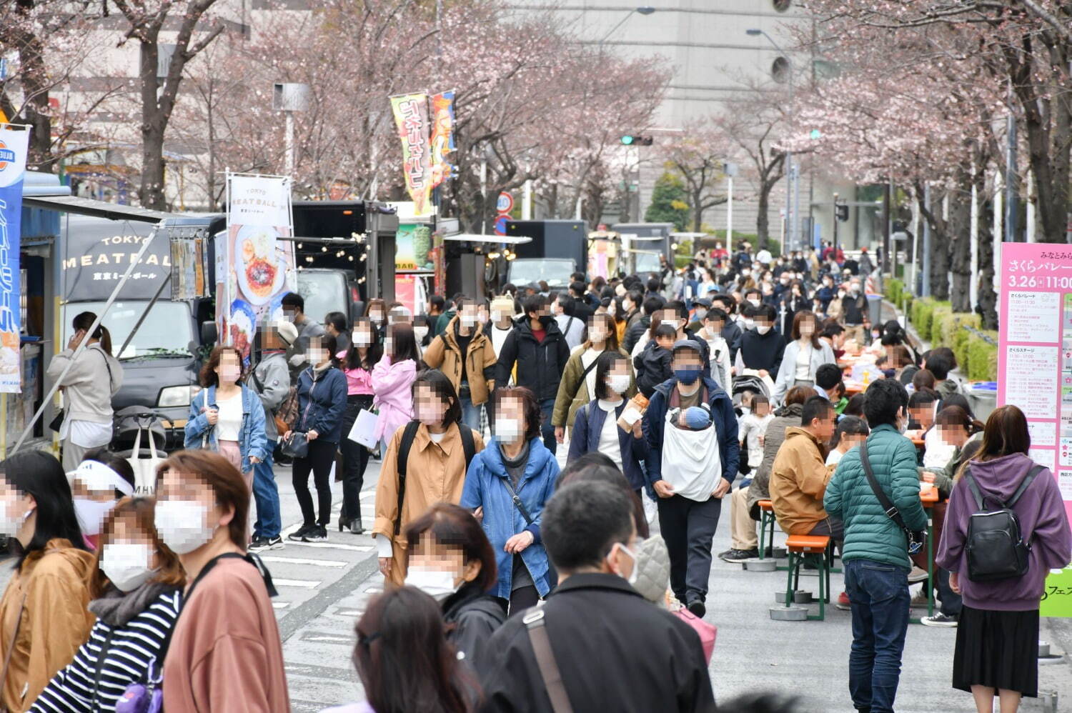 横浜「みなとみらい21 さくらフェスタ2024」“500mの桜並木”でグルメストリートなど｜写真3