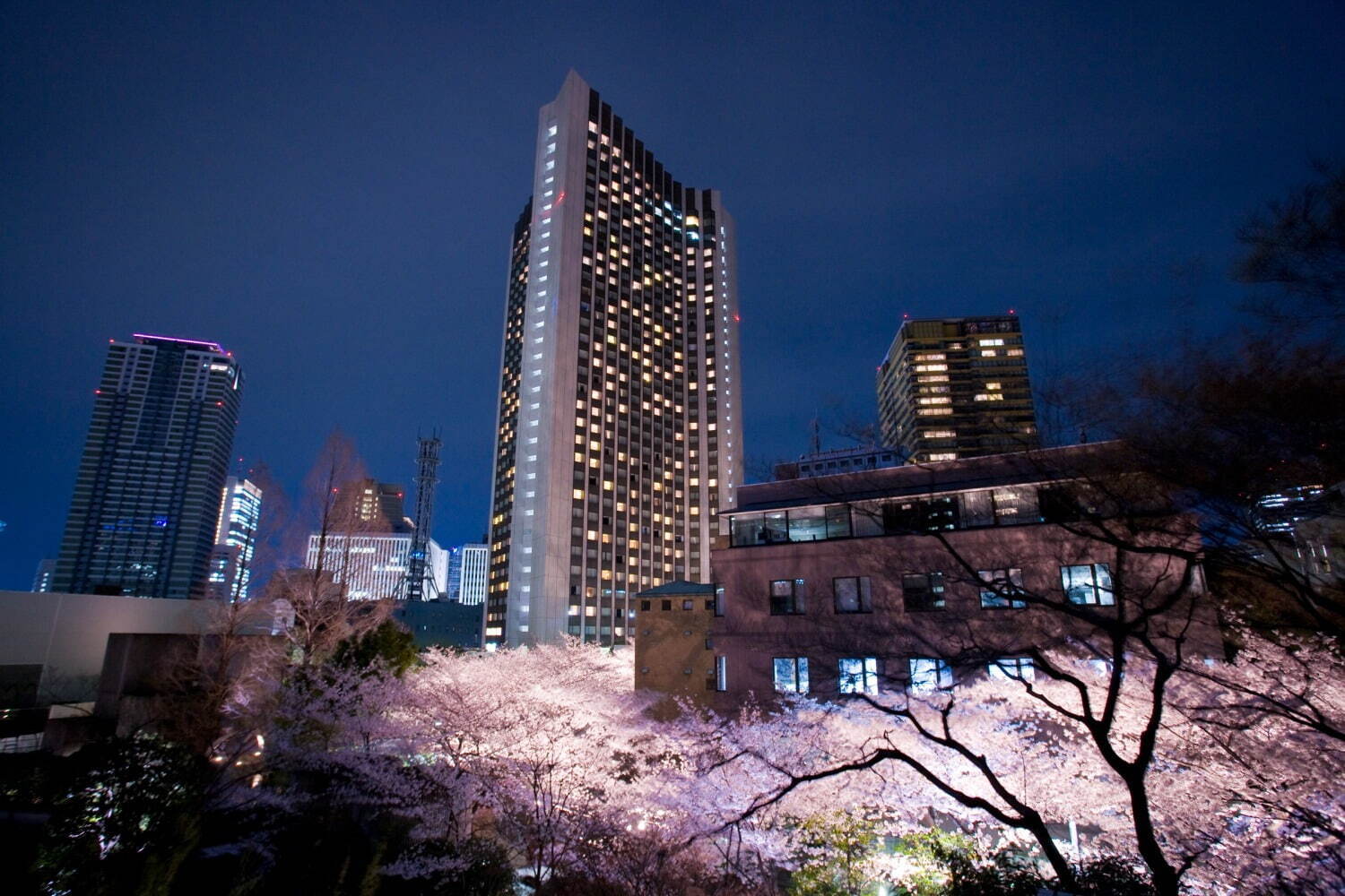 ANAインターコンチネンタルホテル東京「桜アフタヌーンティー」“さくら香る”チーズケーキや苺マカロン｜写真3