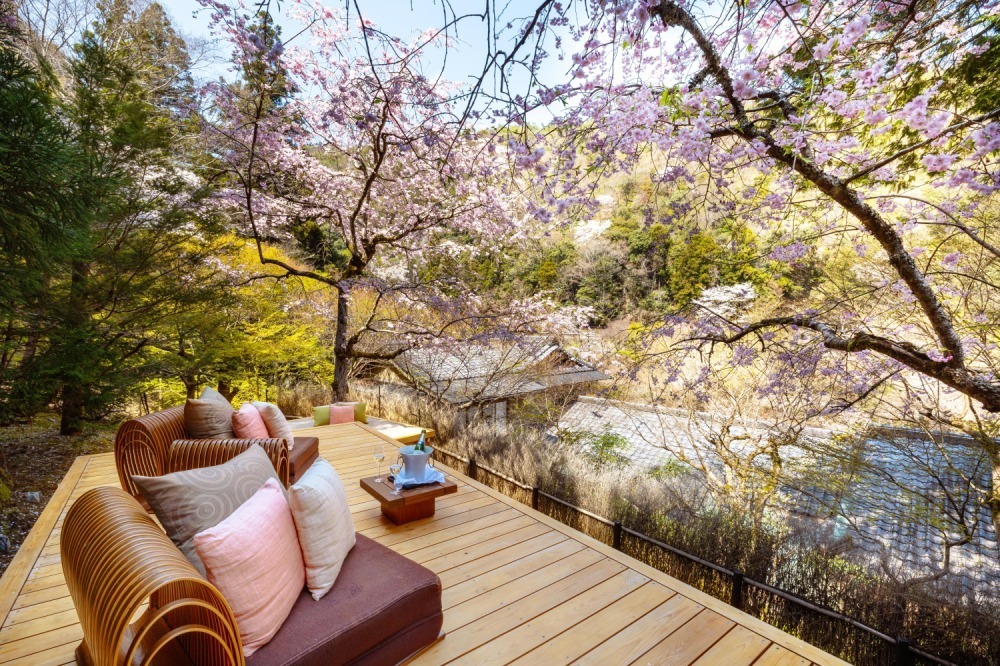 星のや京都の“お花見”滞在プラン - 貸し切りテラスや屋形舟から眺める桜の花、花見膳やライトアップも｜写真4