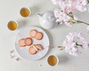 ヨックモックの春限定「ドゥーブル ショコラ オゥ サクラ」桜