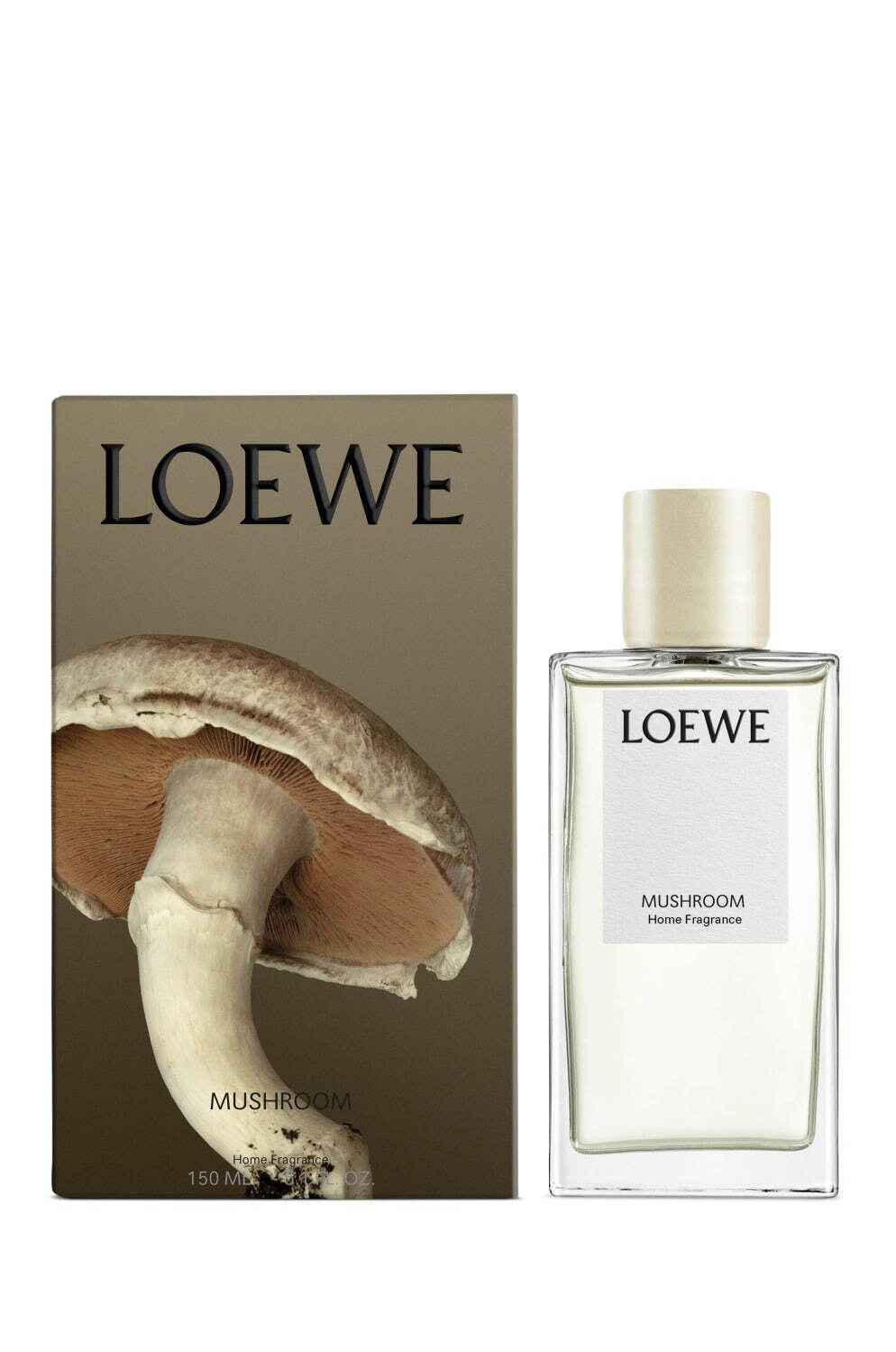 ロエベ(LOEWE) ヘーゼルナッツ マッシュルーム｜写真13