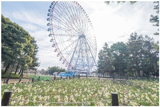 【花見イベント2024】東京＆全国の観光地のおすすめフラワーガーデンや公園など、桜の名所も紹介｜写真16