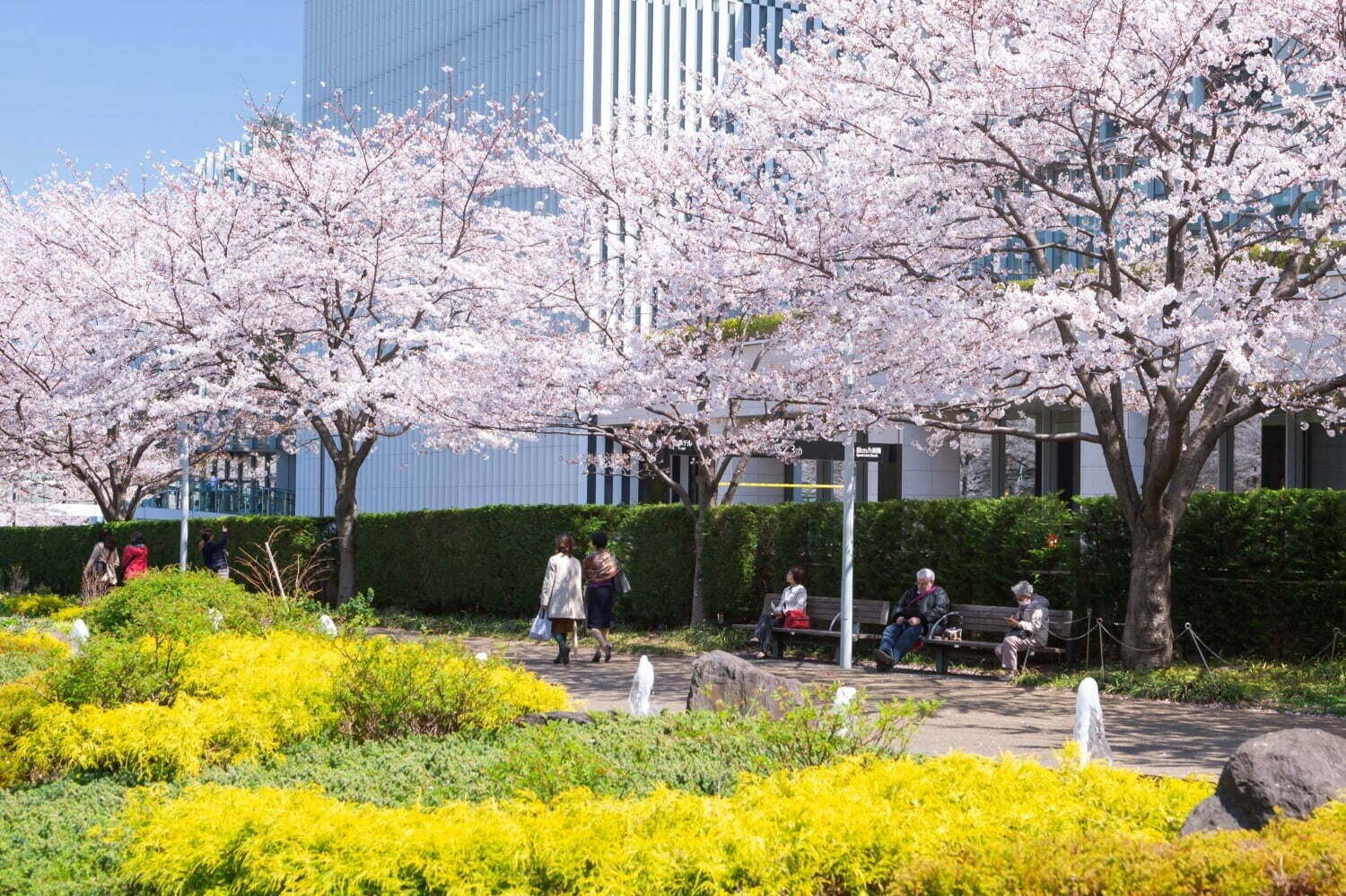 【春イベント2024年】東京ほか全国開催のグルメフェス＆お花見イベント、春のお出かけおすすめスポット｜写真28