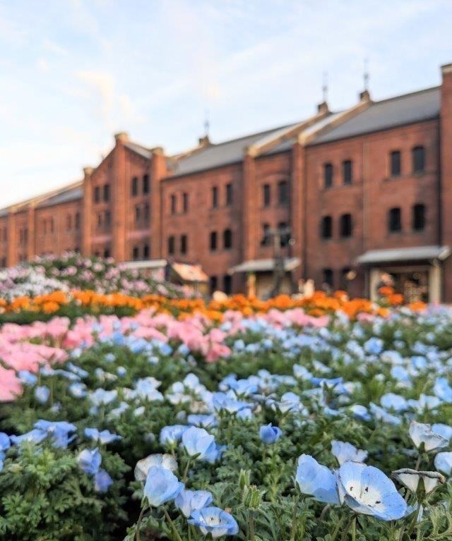 【春イベント2024年】東京ほか全国開催のグルメフェス＆お花見イベント、春のお出かけおすすめスポット｜写真6