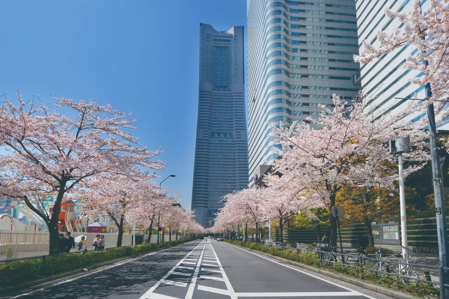 春イベント2024年【関東編】東京・首都圏のおでかけ＆グルメフェス、おすすめ花見イベントも紹介｜写真6