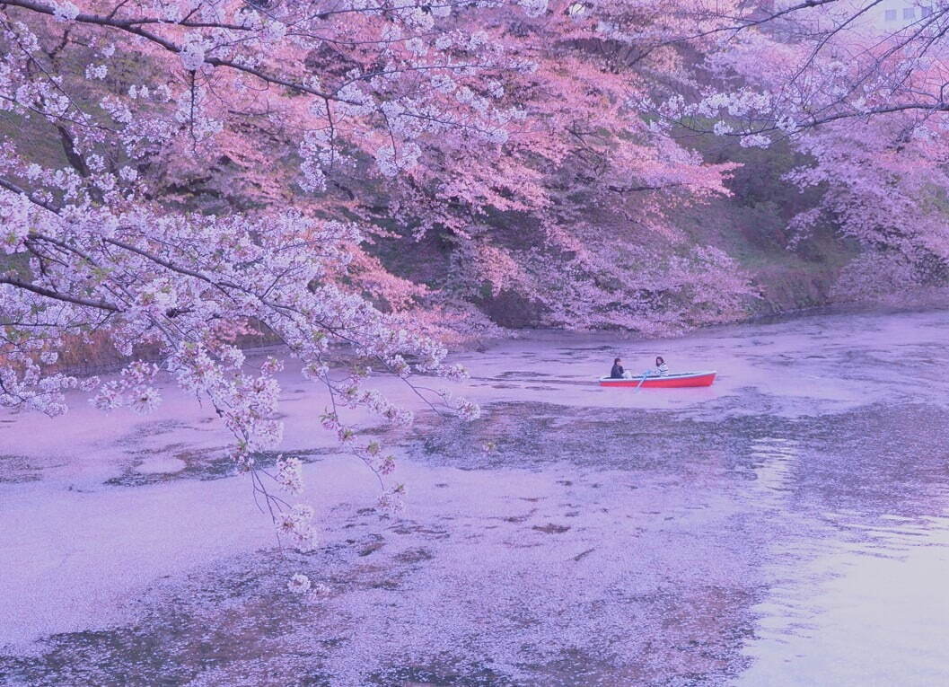 ※過去開催時の様子