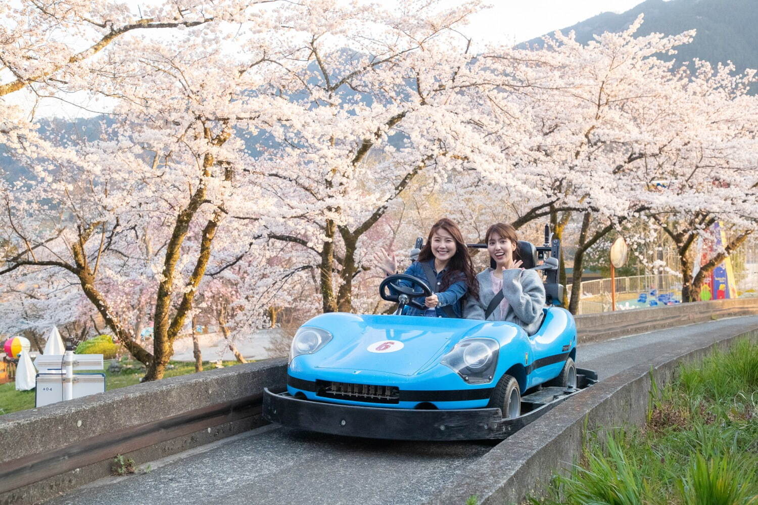 「さがみ湖桜まつり」“2,500本の桜を楽しむ”お花見イベント、夜桜ライトアップ＆桜メニューも｜写真7