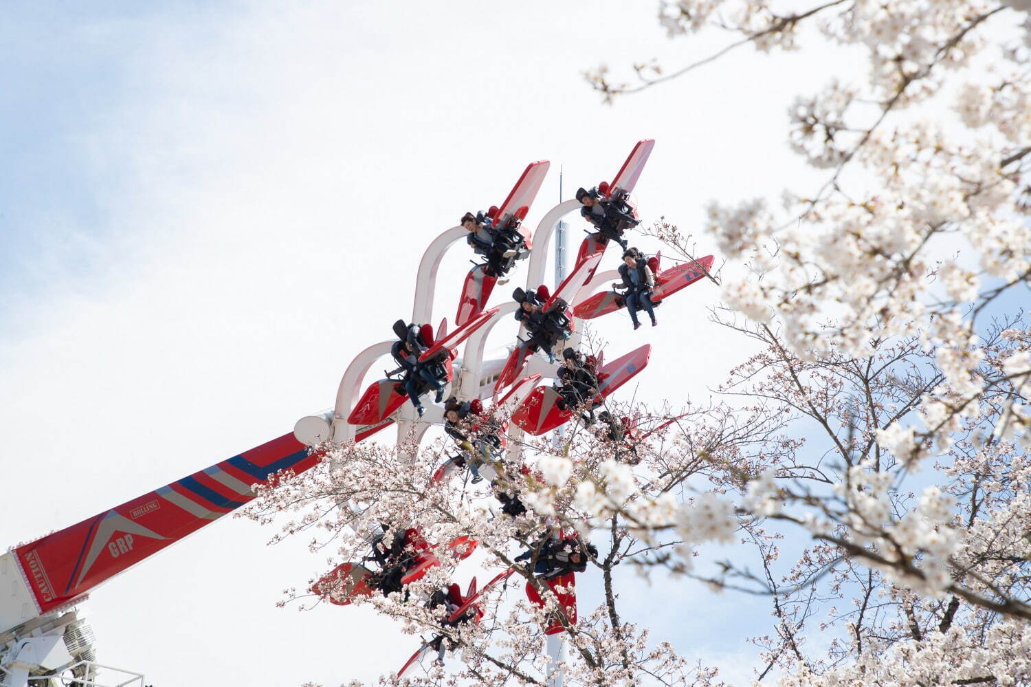 「さがみ湖桜まつり」“2,500本の桜を楽しむ”お花見イベント、夜桜ライトアップ＆桜メニューも｜写真5