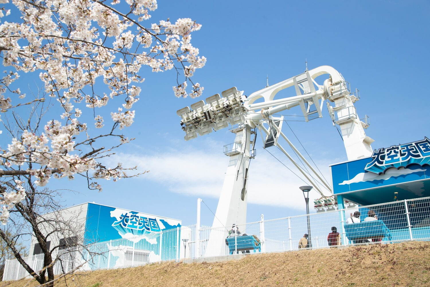 「さがみ湖桜まつり」“2,500本の桜を楽しむ”お花見イベント、夜桜ライトアップ＆桜メニューも｜写真6