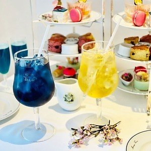 フランス老舗紅茶専門店「マリアージュ フレール」桜イメージの緑茶 