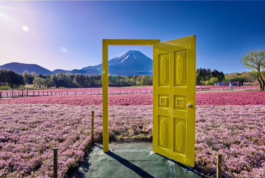 富士山麓の春の風物詩「富士芝桜まつり」約50万株の芝桜咲く絶景お花見イベント、山梨・富士河口湖で｜写真4