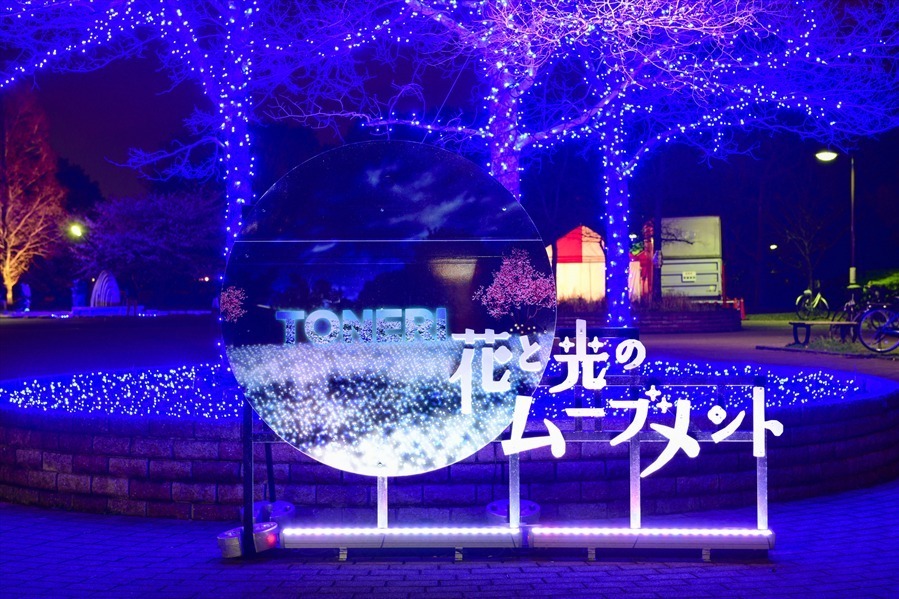 東京・舎人公園「花と光のムーブメント」流水を表現したライトアップ、一面ブルーのネモフィラ花壇も｜写真2