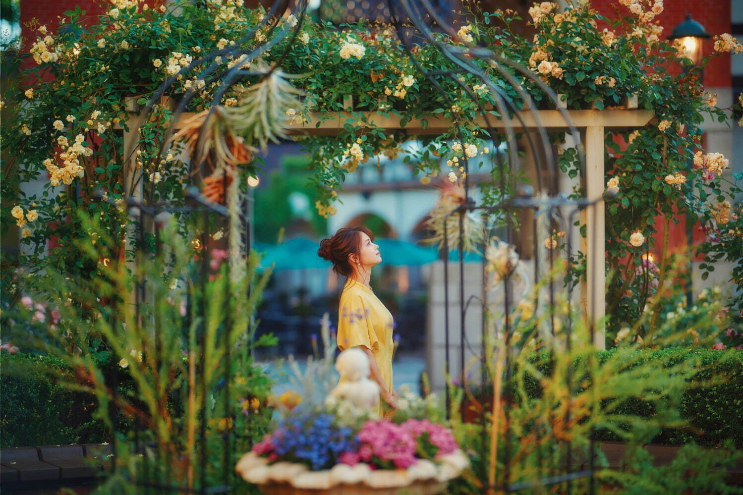 「神戸布引ハーブ園」チューリップやネモフィラが咲き誇る春夏イベント、ローズ＆ラベンダーも見頃に｜写真24