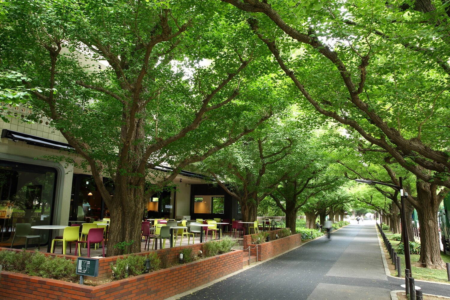 キハチ 青山本店でメロンづくしの限定アフタヌーンティー、2種のメロンが主役のスイーツ＆セイボリー｜写真7