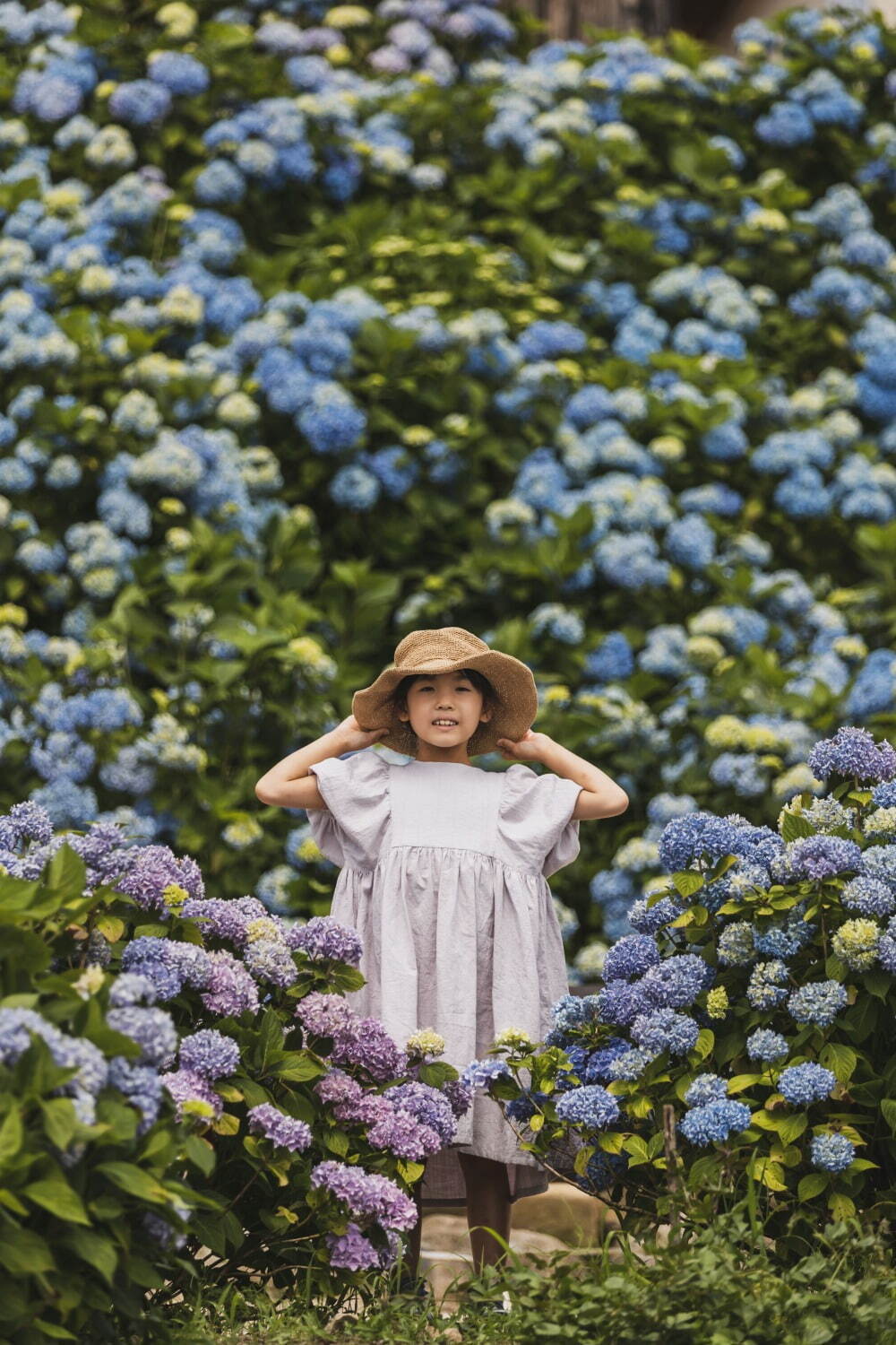 広島・フラワーヴィレッジ 花夢の里「あじさいとタチアオイの丘」一面アナベルが咲く白い花畑など｜写真7