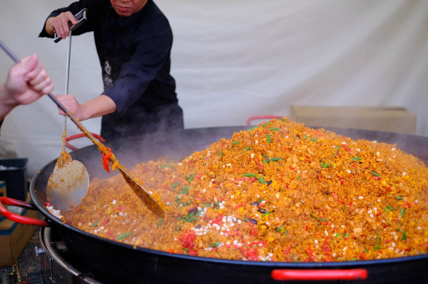 日本最大級のスペインフェス「フィエスタ・デ・エスパーニャ 2024」東京・代々木公園で開催｜写真5