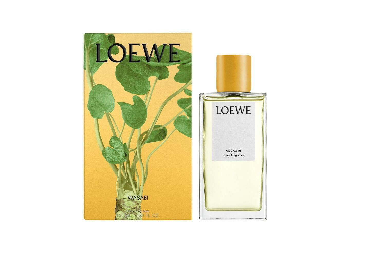 ロエベ パルファム(LOEWE Perfumes) ワサビ｜写真9