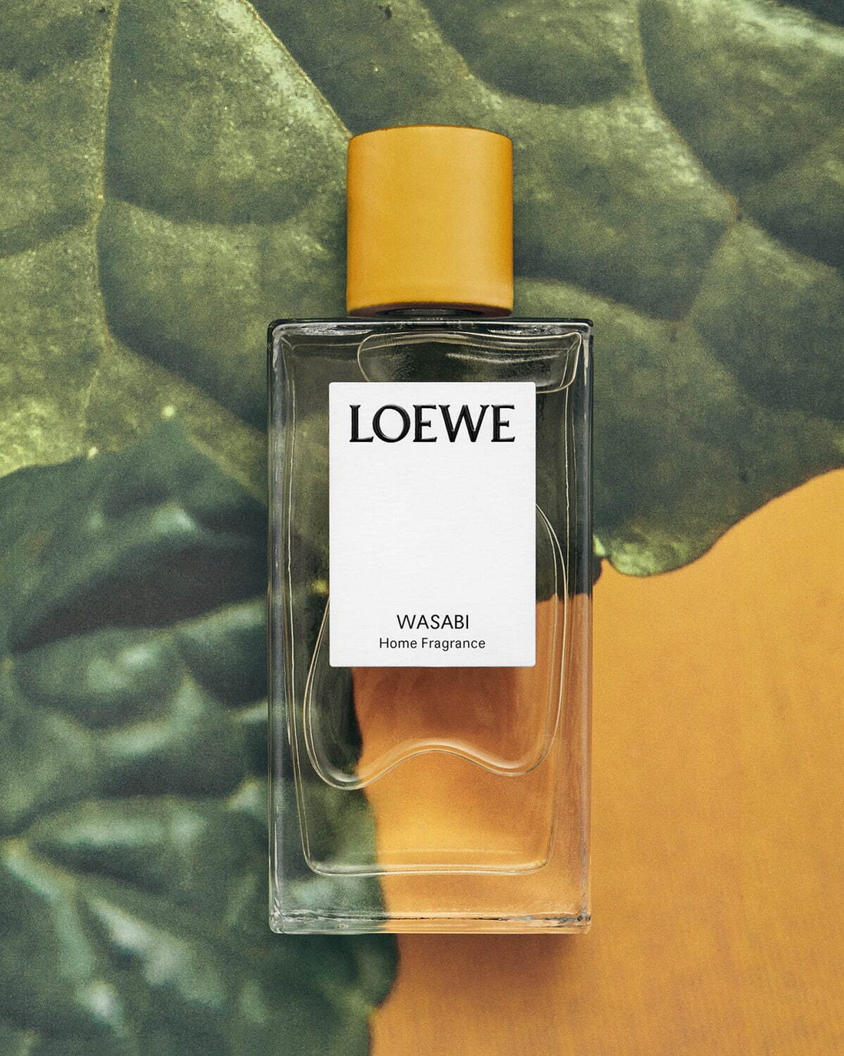 ロエベ パルファム(LOEWE Perfumes) ワサビ｜写真3